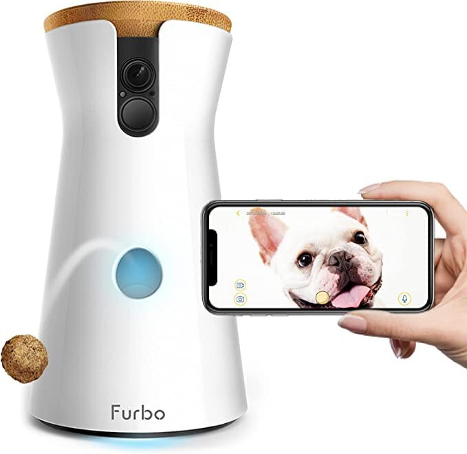 Cámara para Perros Lanzamiento de premios